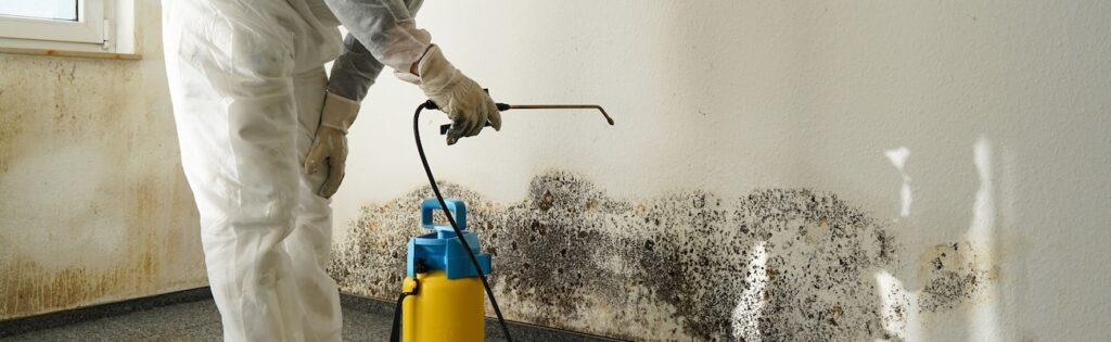 Mold Remediation Costs: What to Expect in 2026