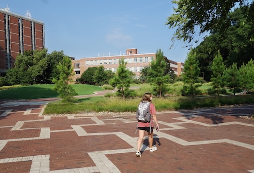The 4 reasons why higher education confidence fell