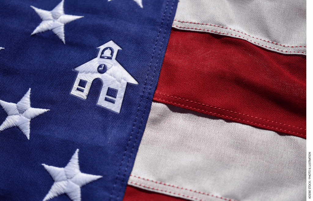 Illustration of a flag with a school house replacing one star
